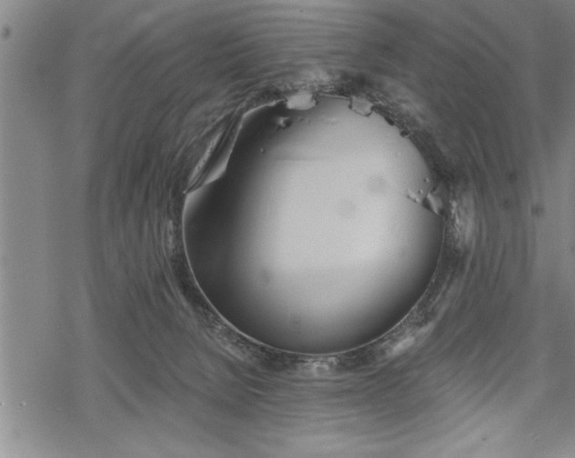 X0000069380080200605150928