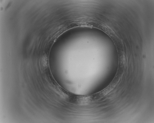 X0000069380081200605150928