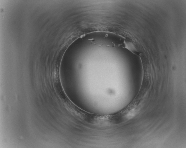 X0000069380084200605150928