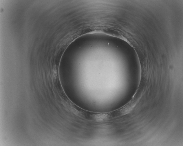 X0000069380085200605150928