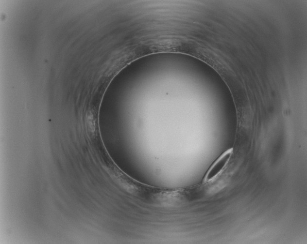 X0000069380086200605150928