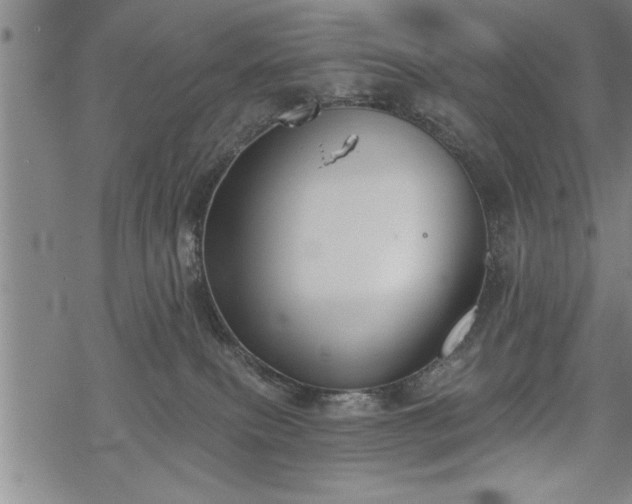 X0000069380087200605150928