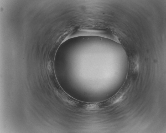 X0000069380088200605150928