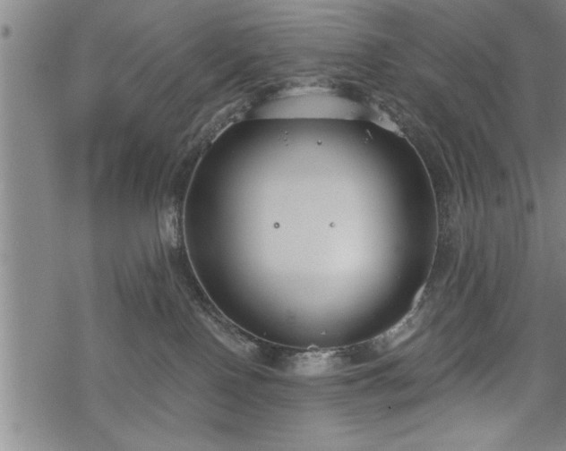 X0000069380090200605150928