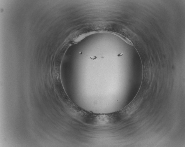 X0000069380091200605150928