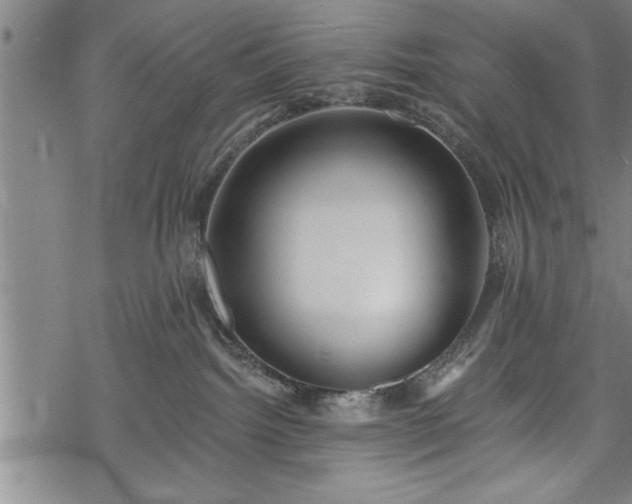 X0000069380092200605150928