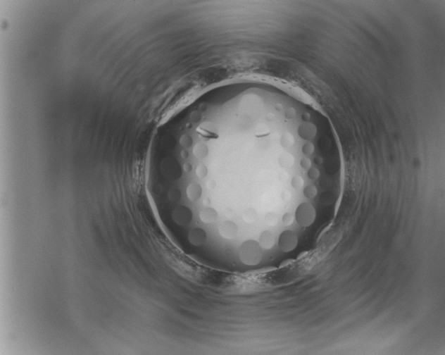 X0000069380093200605150928