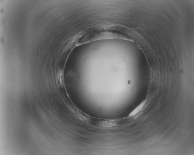 X0000069380094200605150928