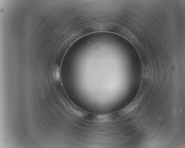 X0000069380095200605150928