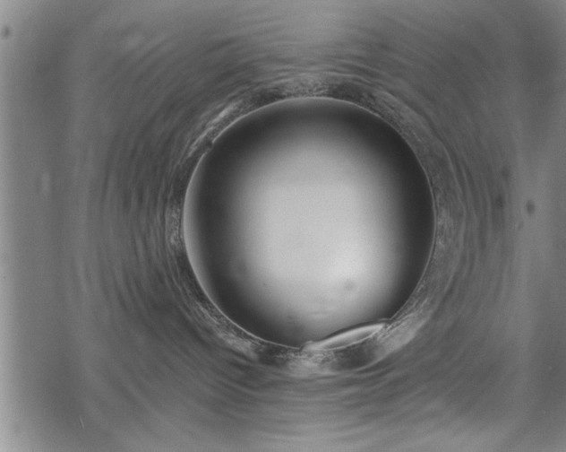 X0000069380096200605150928