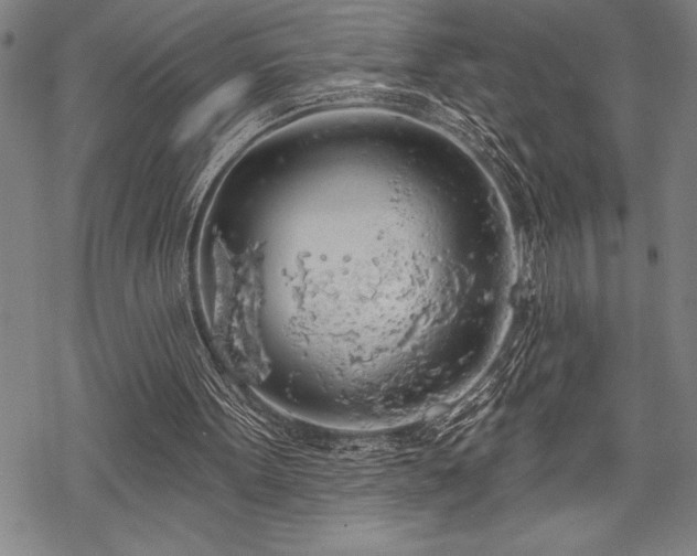 X0000069380099200605150928