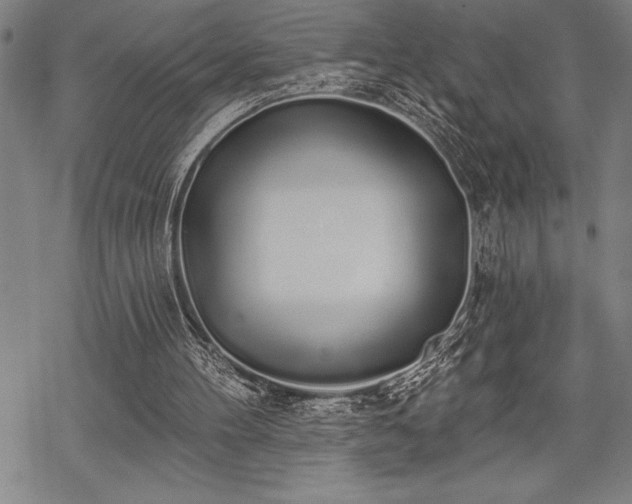 X0000069380100200605150928