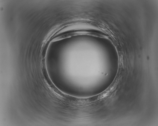 X0000069380101200605150928