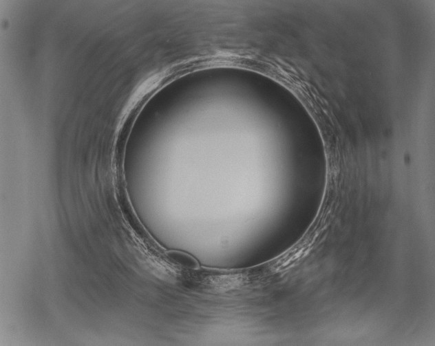 X0000069380102200605150928