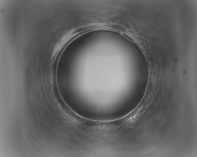 X0000069380103200605150928