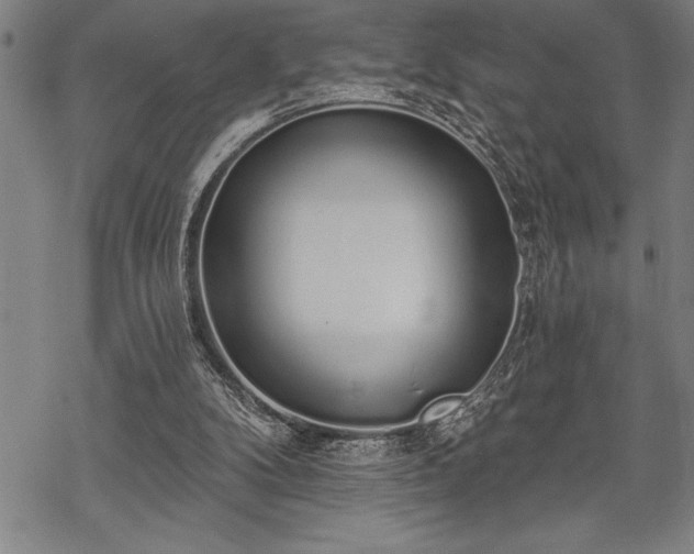 X0000069380104200605150927