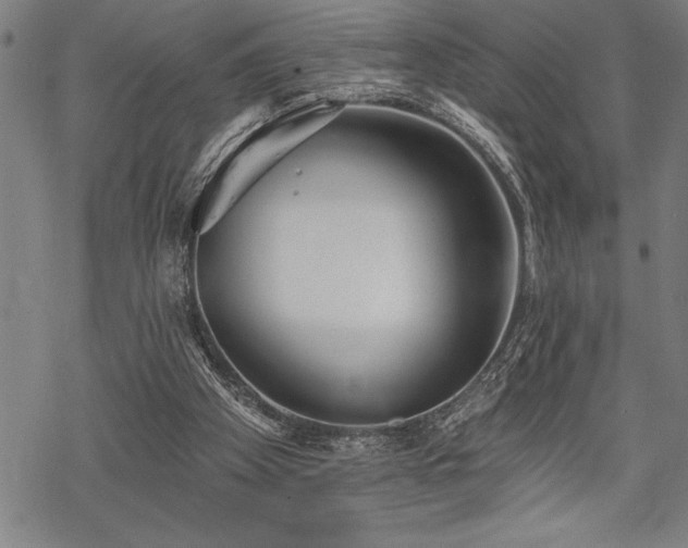 X0000069380105200605150927