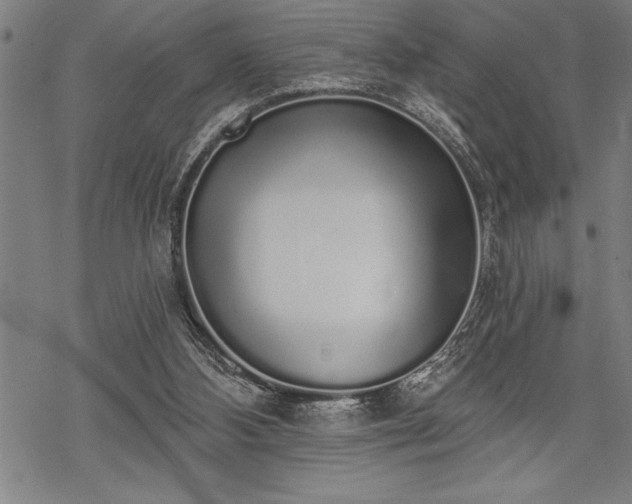 X0000069380108200605150927