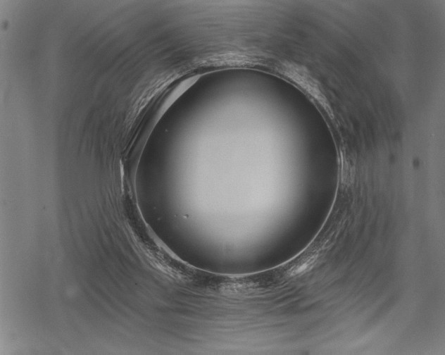 X0000069380109200605150927