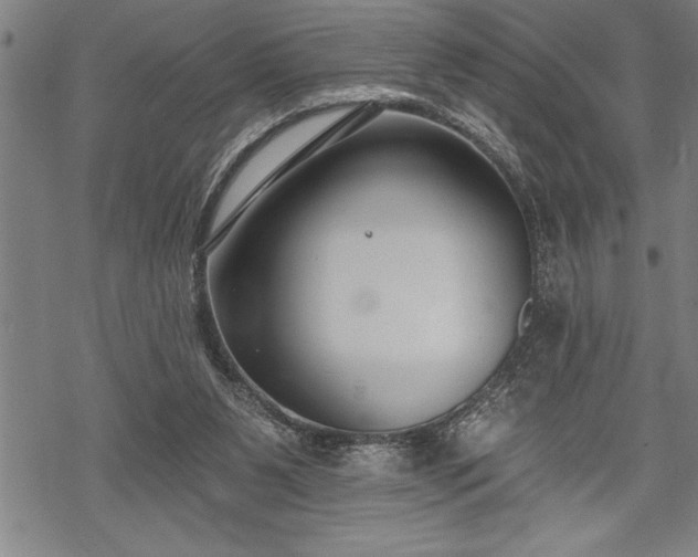 X0000069380111200605150927