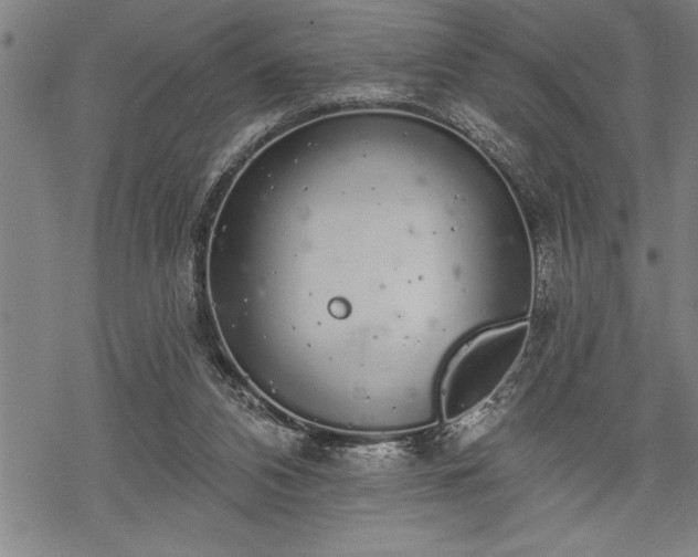 X0000069380112200605150927