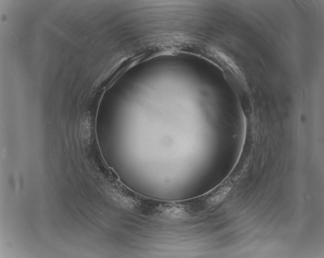 X0000069380113200605150927