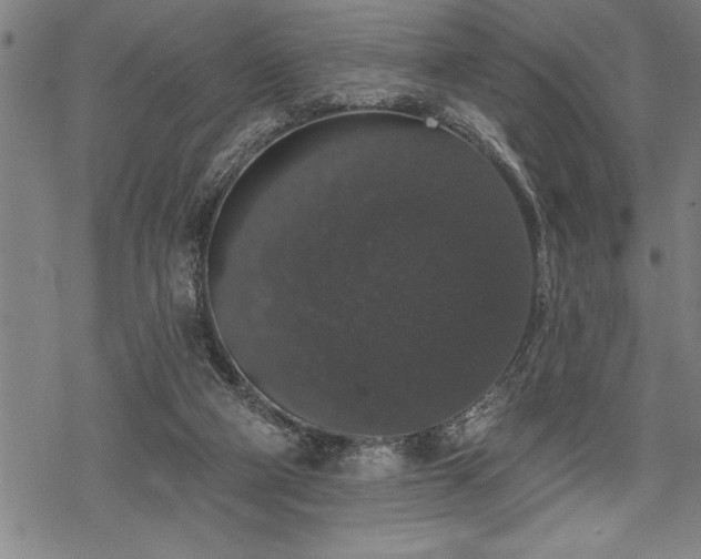 X0000069380114200605150927