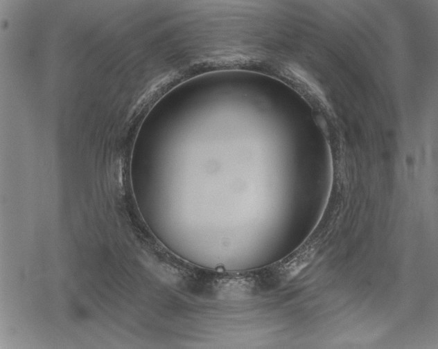 X0000069380115200605150927