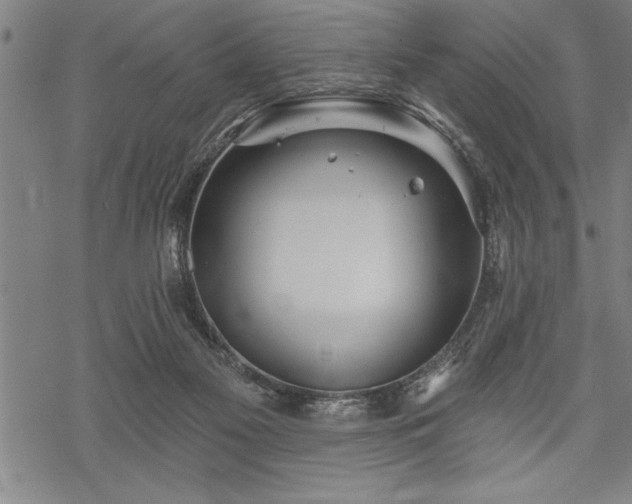 X0000069380117200605150927