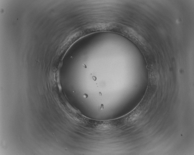 X0000069380119200605150927