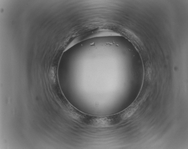 X0000069380121200605150927