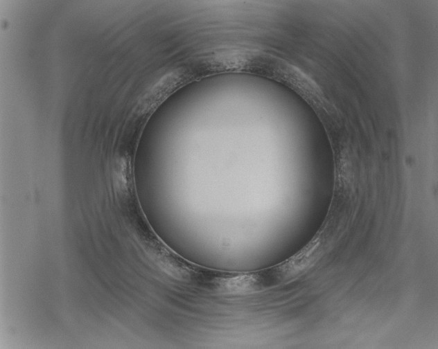 X0000069380122200605150927