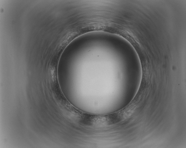 X0000069380123200605150927