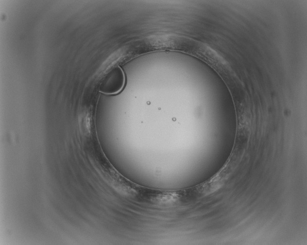 X0000069380124200605150927