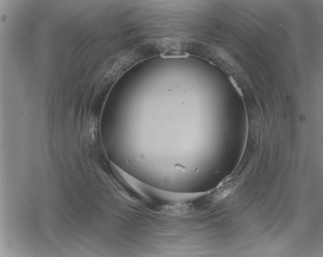 X0000069380125200605150927