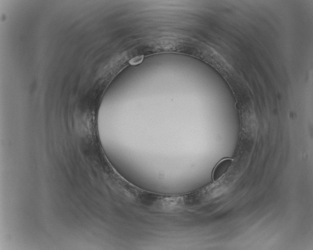 X0000069380126200605150927