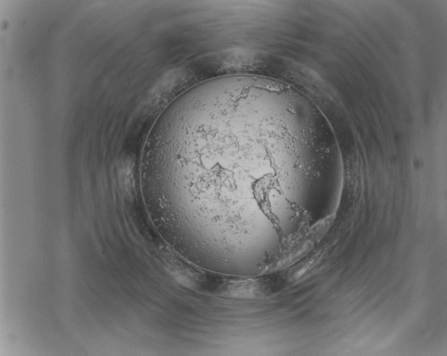 X0000069380127200605150927