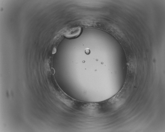 X0000069380128200605150927