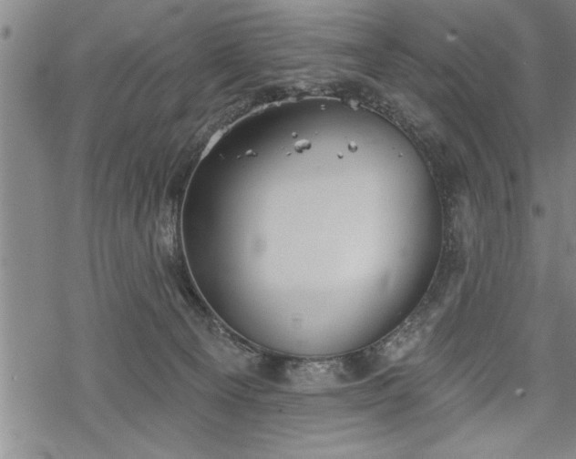 X0000069380129200605150927