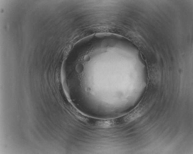 X0000069380131200605150927