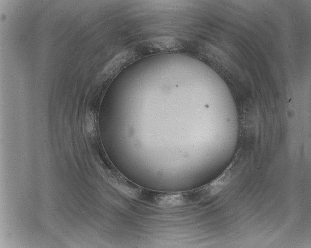 X0000069380132200605150927