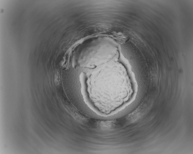 X0000069380134200605150927