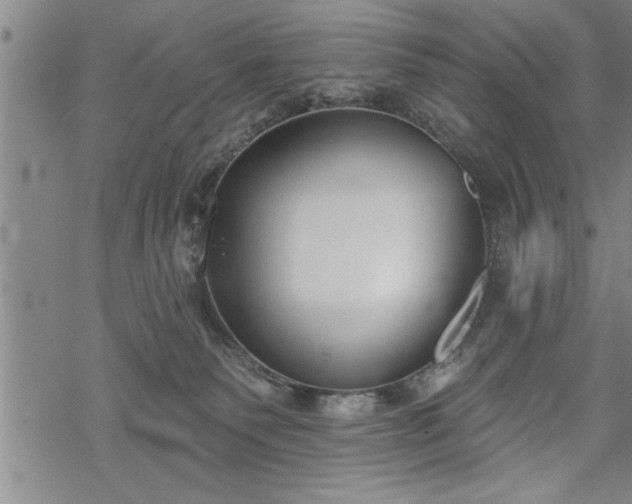 X0000069380135200605150927