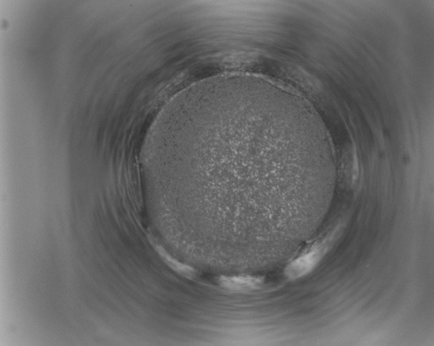 X0000069380137200605150927