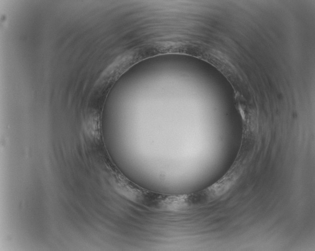 X0000069380138200605150927