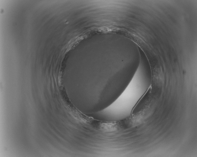 X0000069380139200605150927