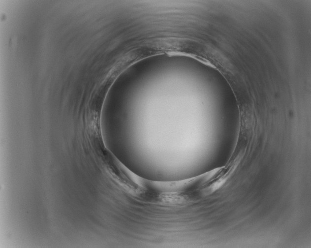 X0000069380141200605150927