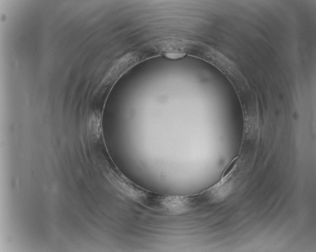 X0000069380142200605150927