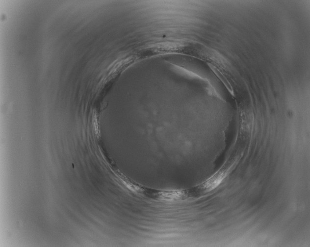 X0000069380143200605150927