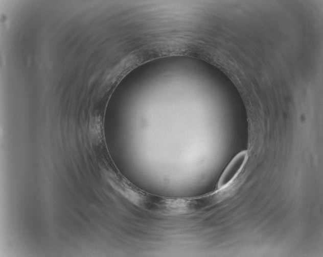 X0000069380144200605150927